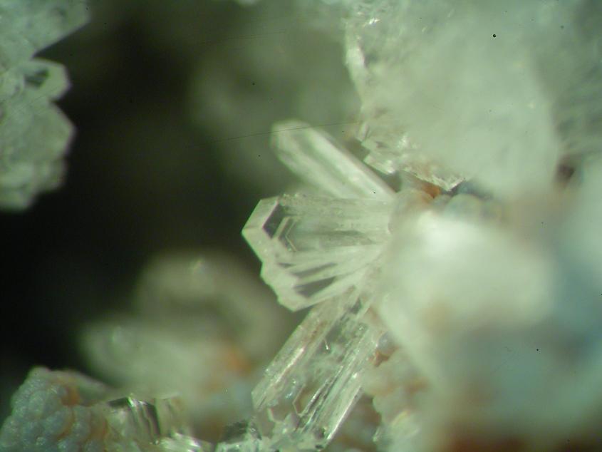 Phillipsite