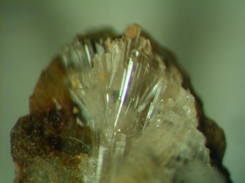 Scholzite