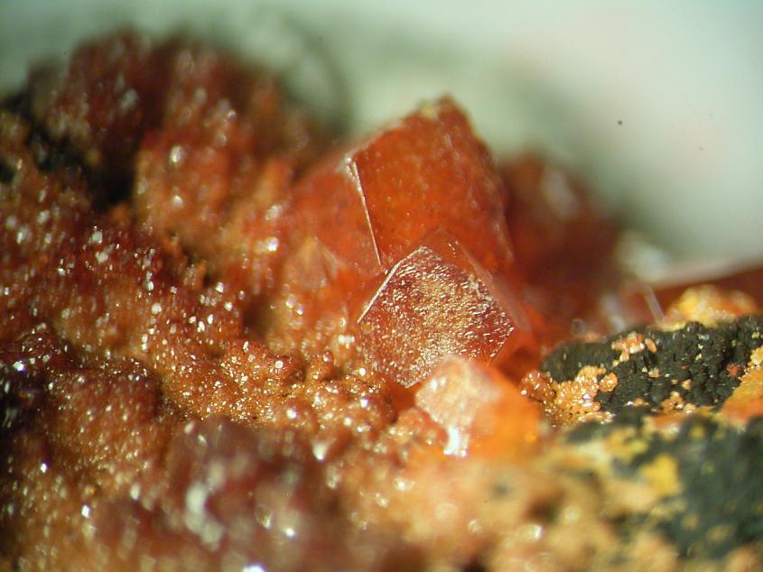 Vanadinite & Wulfenite