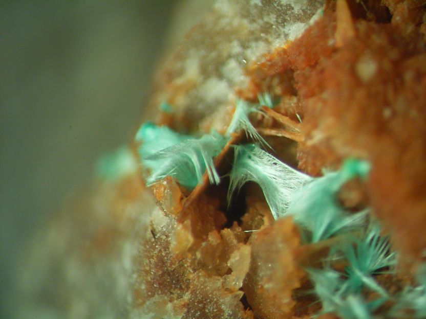 Agardite-(Y)