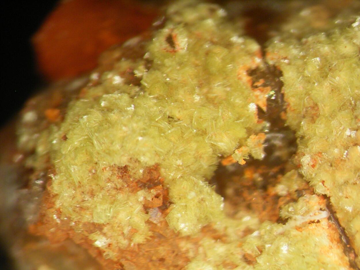 Autunite