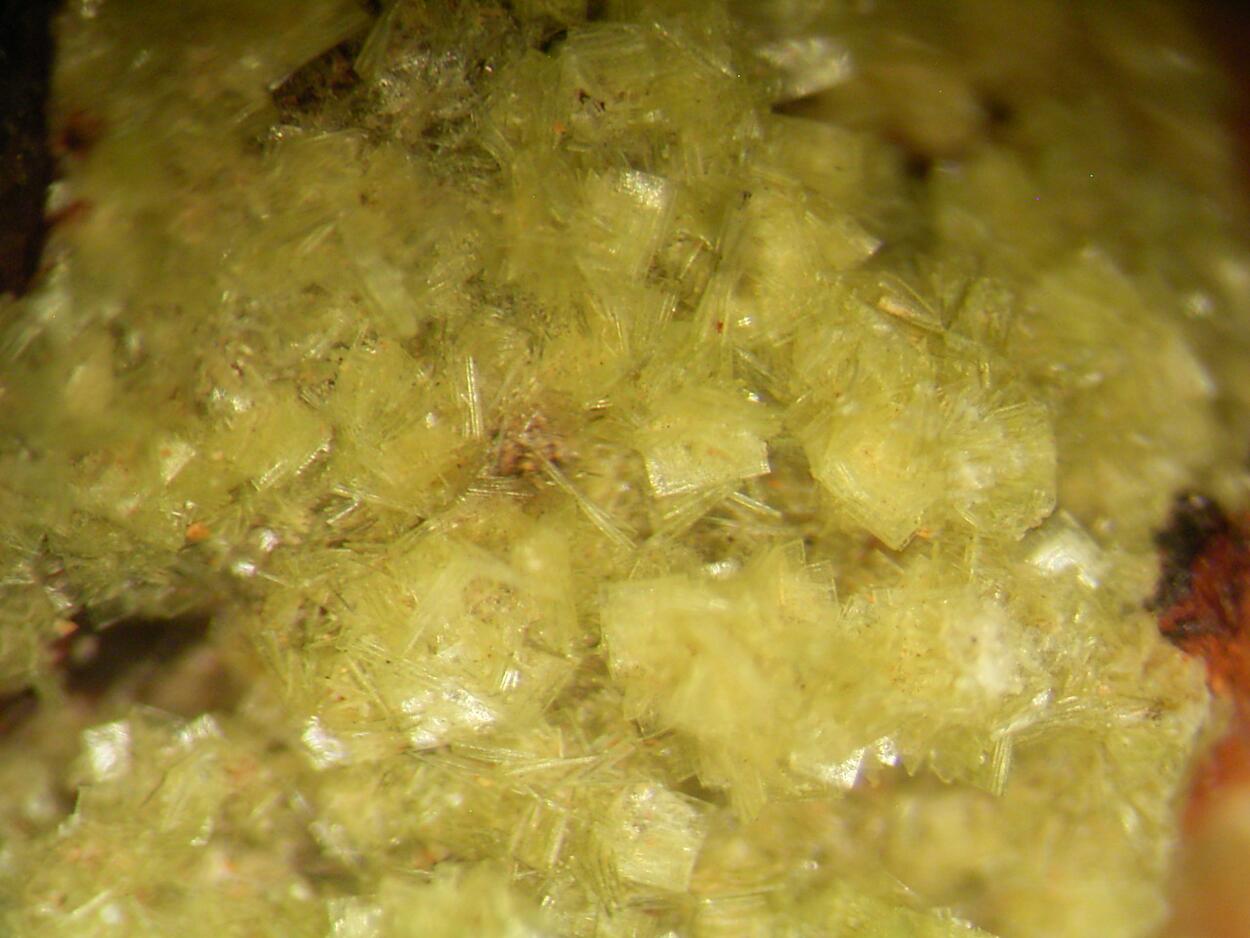 Autunite