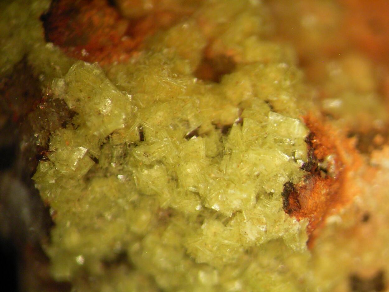Autunite