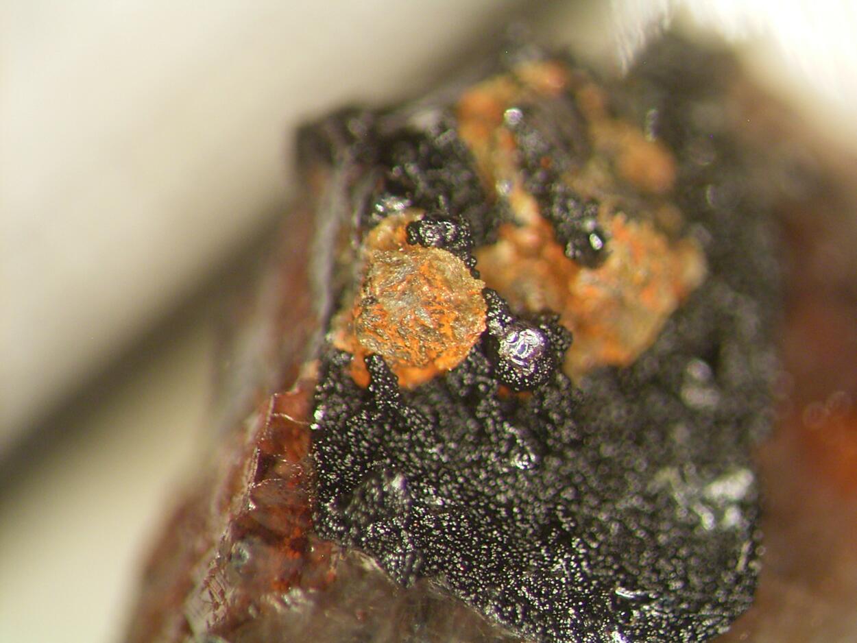 Pattersonite