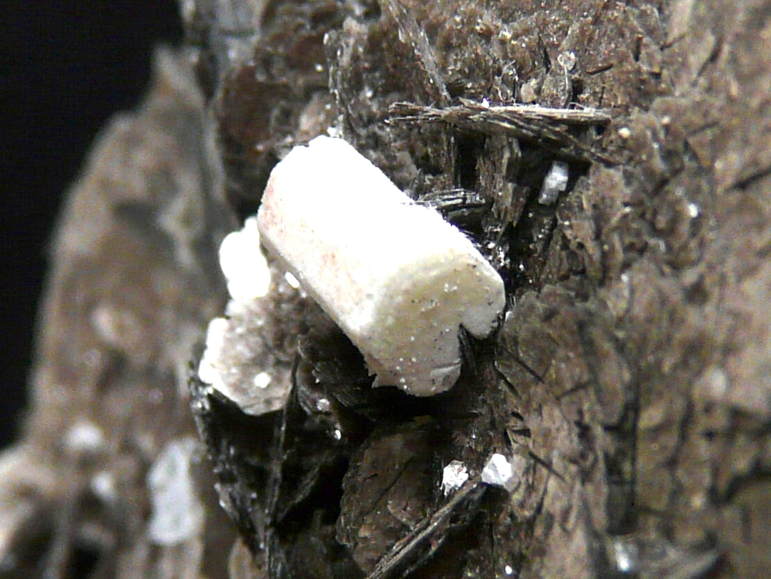 Milarite On Muscovite