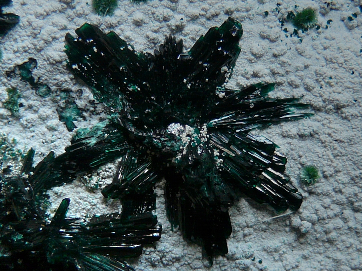 Atacamite With Halloysite & Libethenite