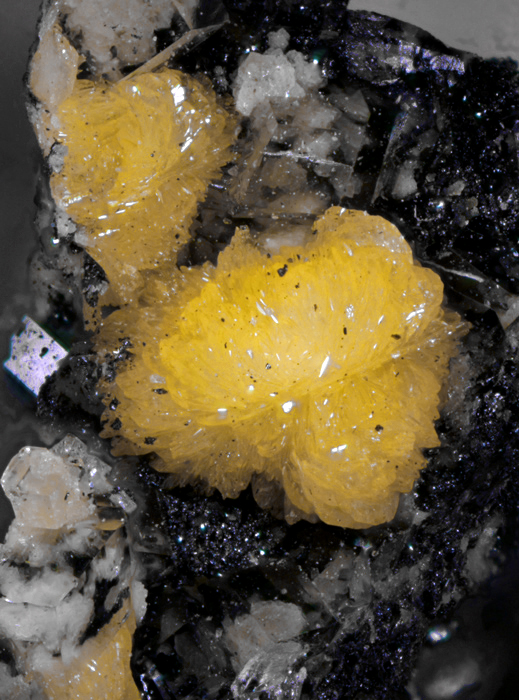 Arsendescloizite Willemite & Arsentsumebite