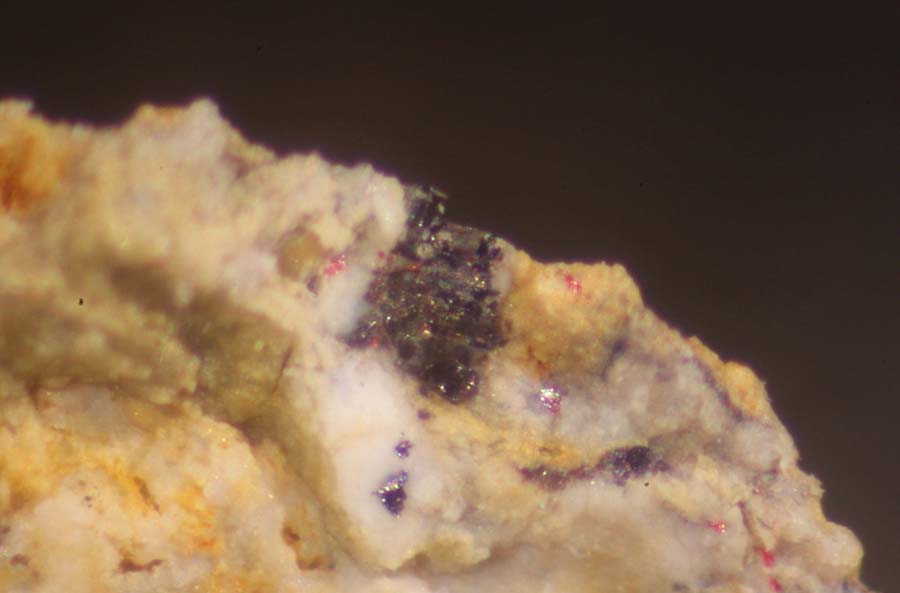 Edgarbaileyite