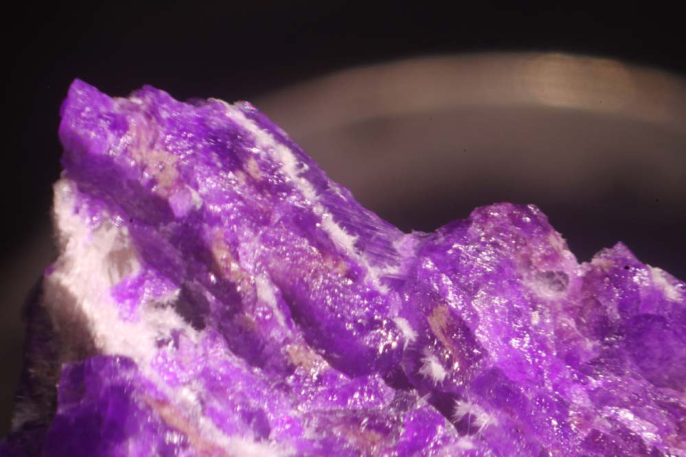 Sugilite & Pectolite