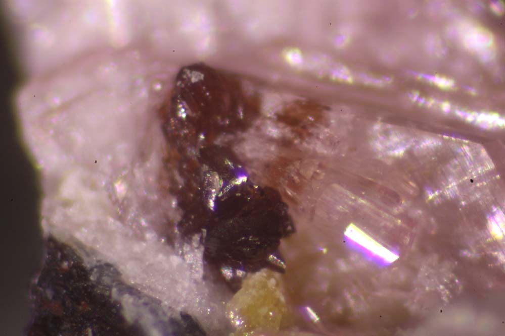 Canutite Magnesiokoritnigite & Lavendulan