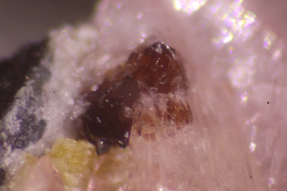 Canutite Magnesiokoritnigite & Lavendulan