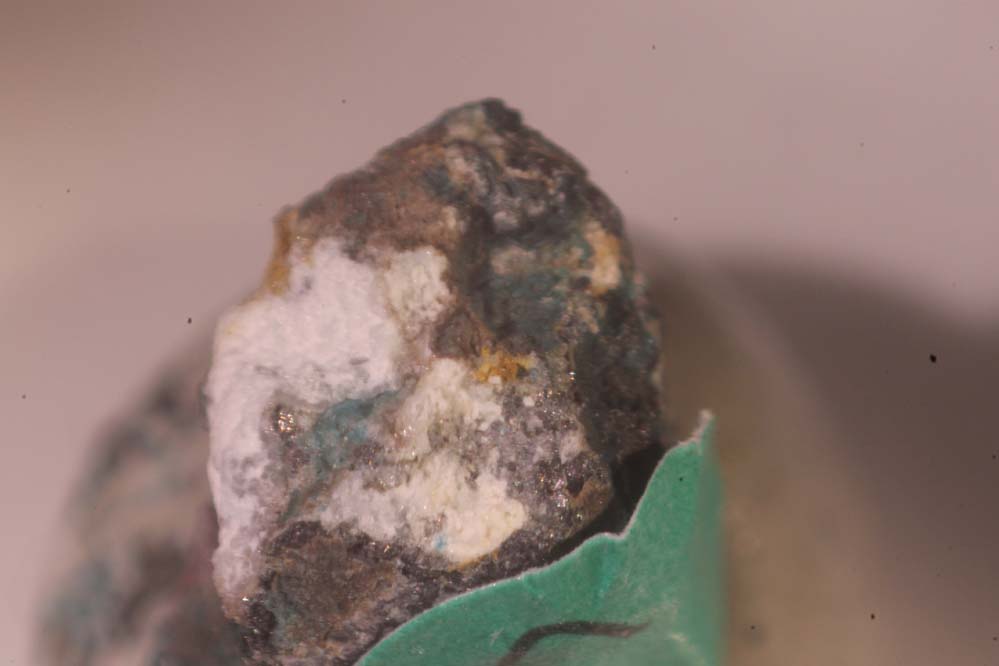 Alfredopetrovite