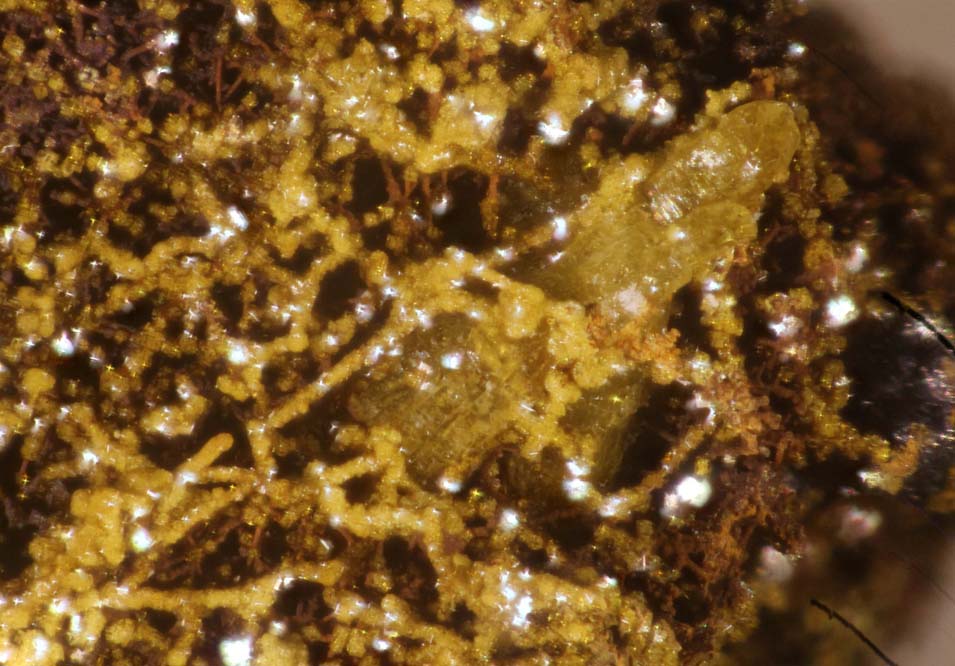 Kintoreite