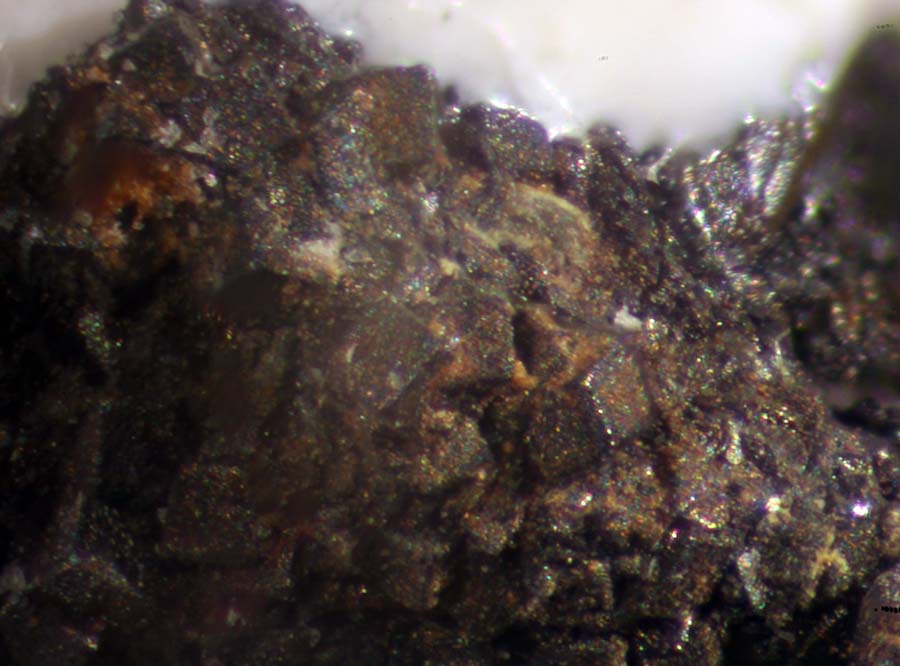 Brunogeierite