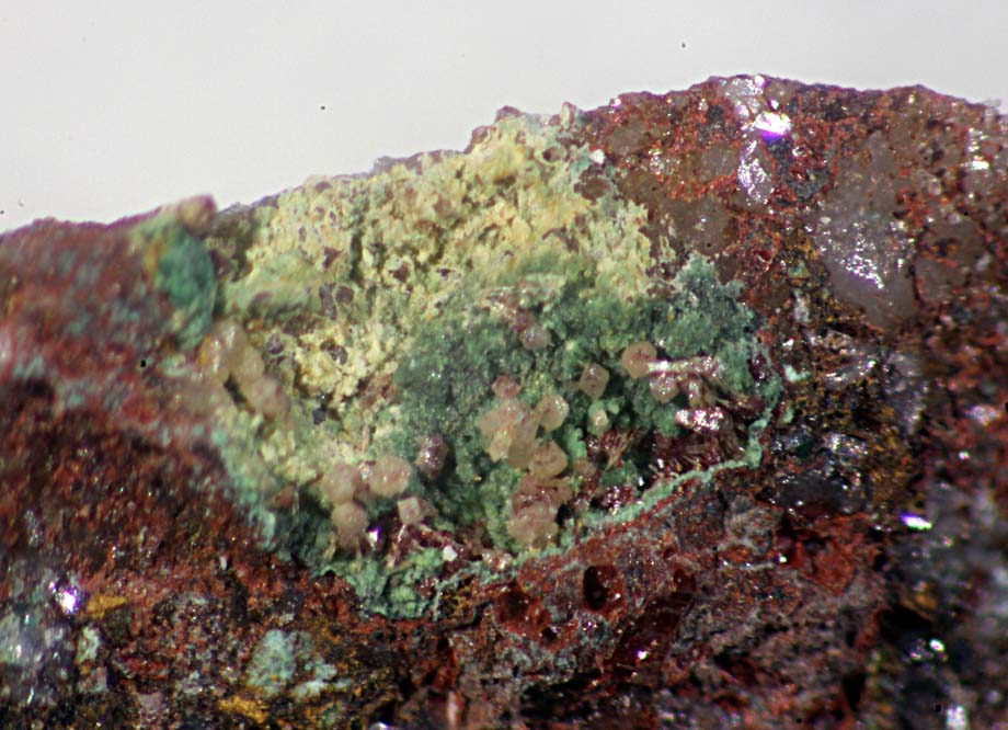 Corderoite