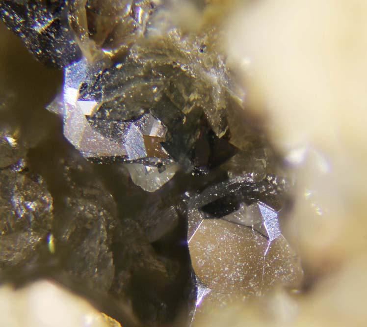 Galena & Sphalerite