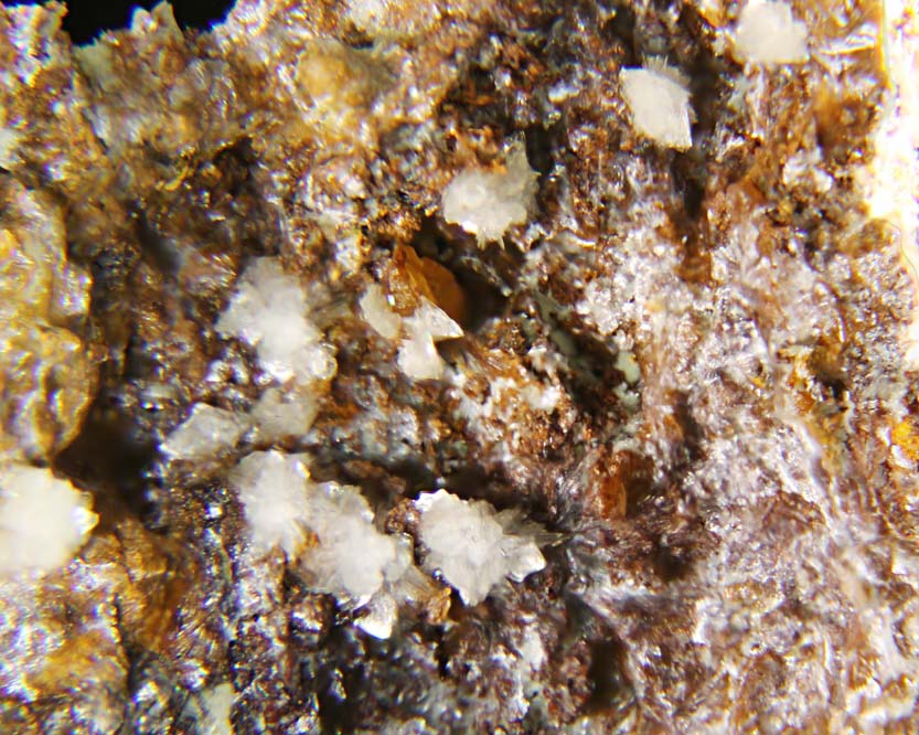 Montgomeryite