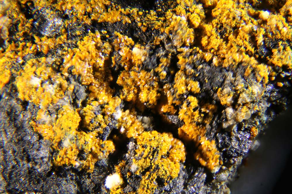 Huemulite