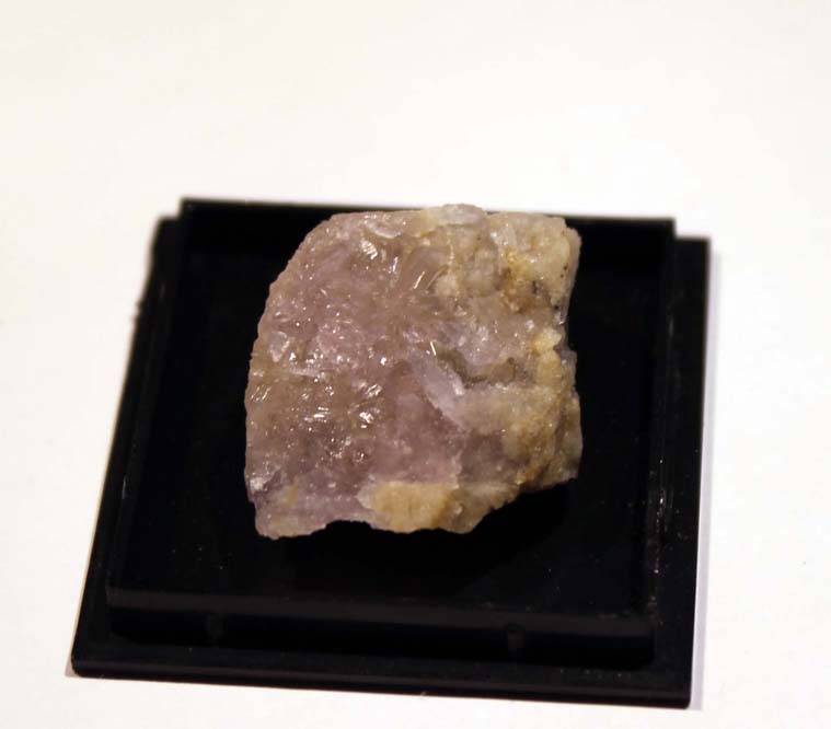 Creedite