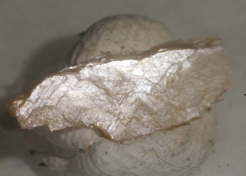 Vuonnemite