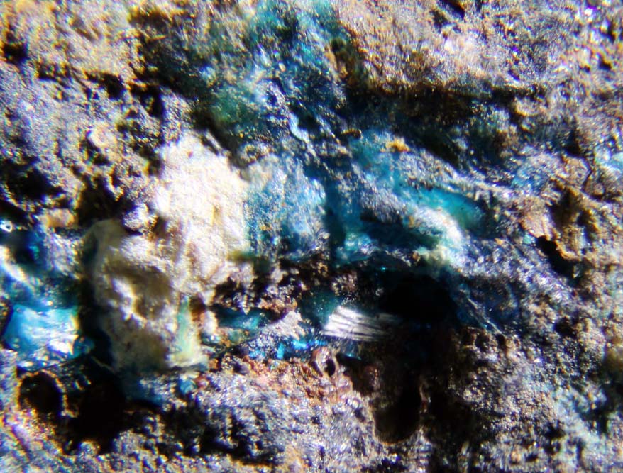 Molybdomenite & Chalcomenite