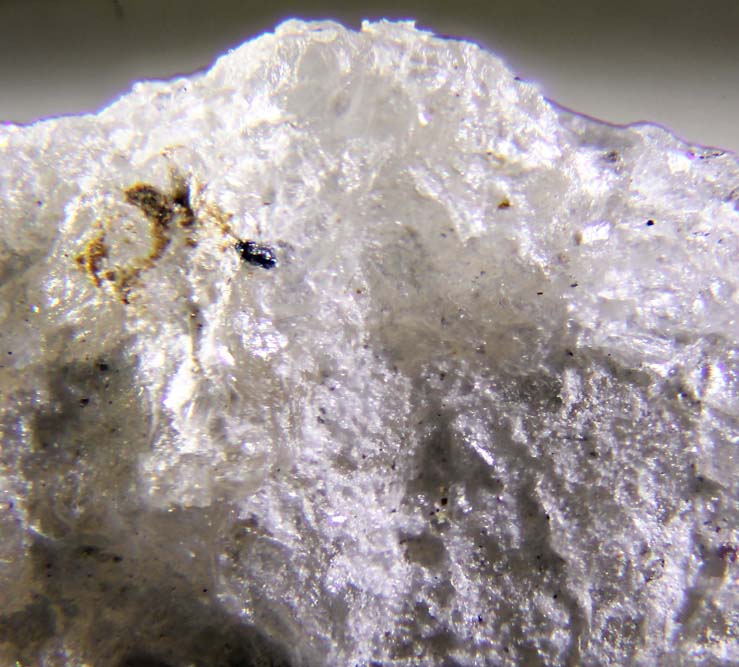 Aluminoceladonite