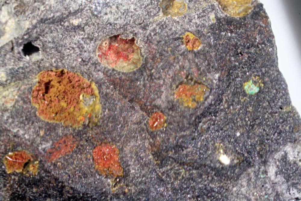 Chalcotrichite