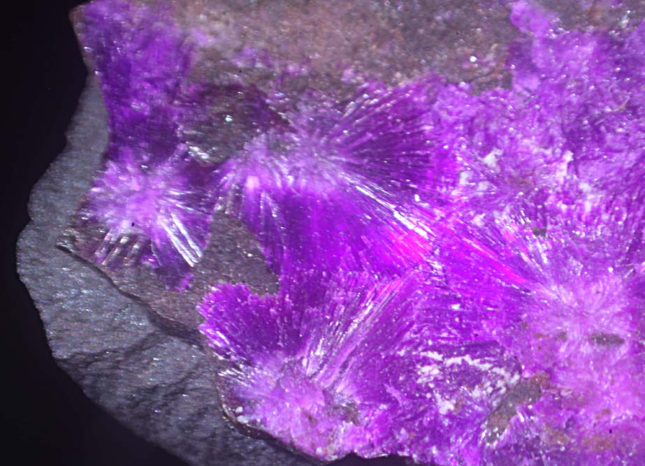 Sugilite