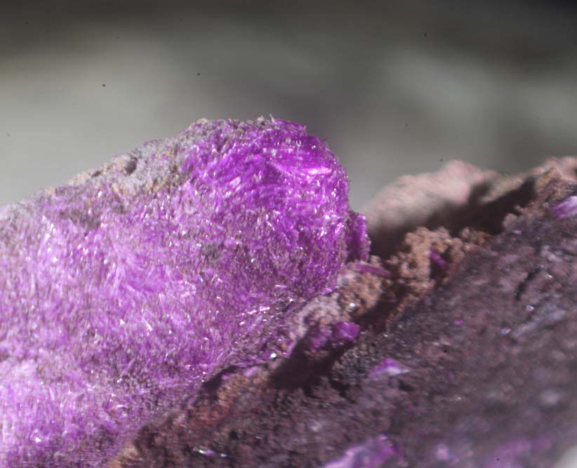 Sugilite