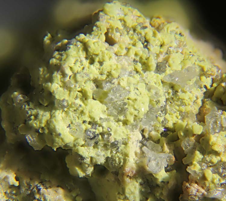 Hidalgoite