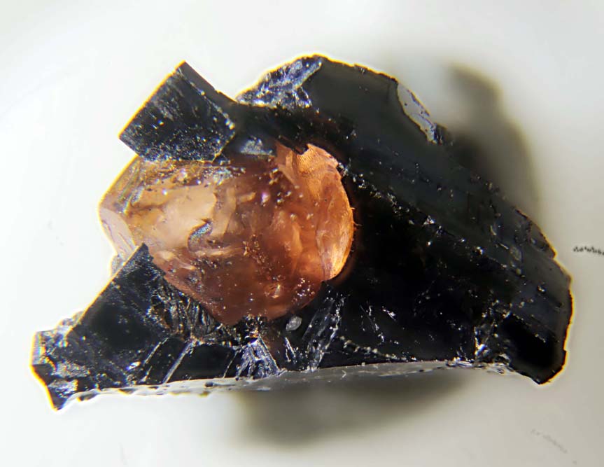 Ferrorhodonite