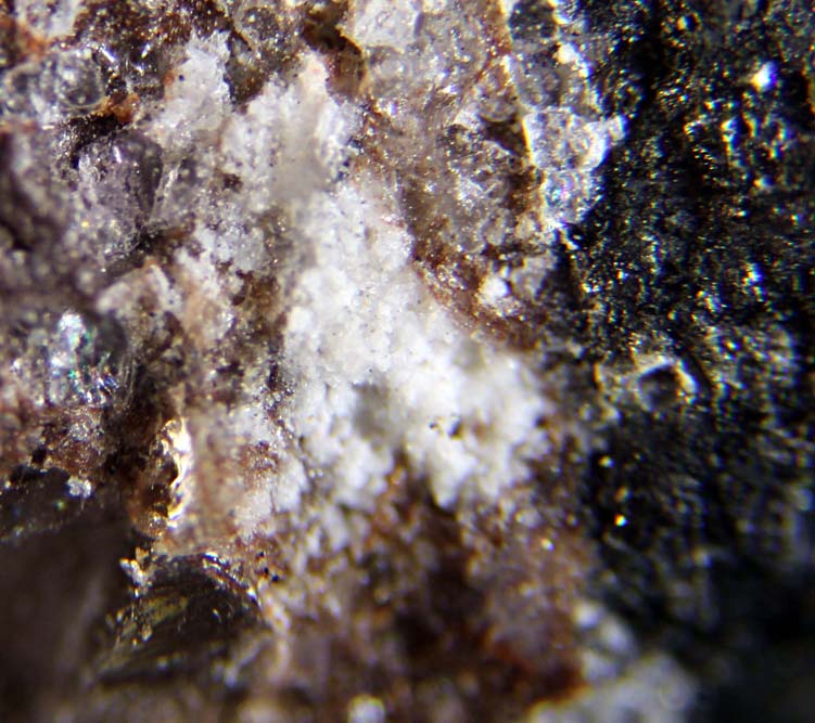 Laurelite
