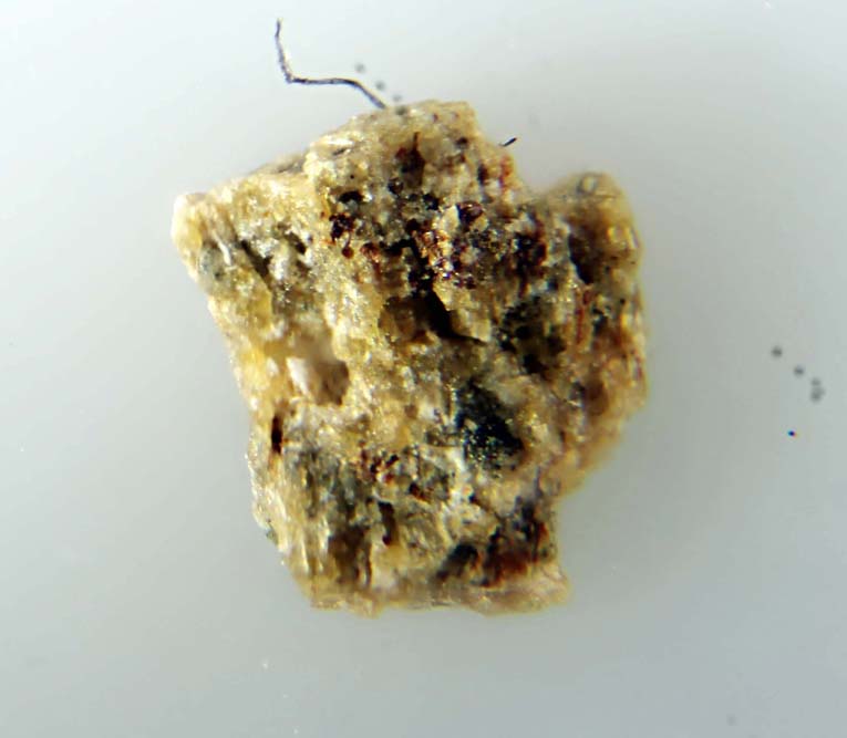 Ershovite