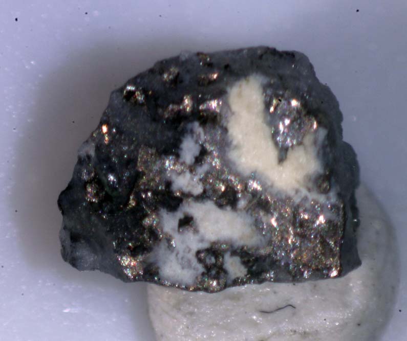 Chekhovichite