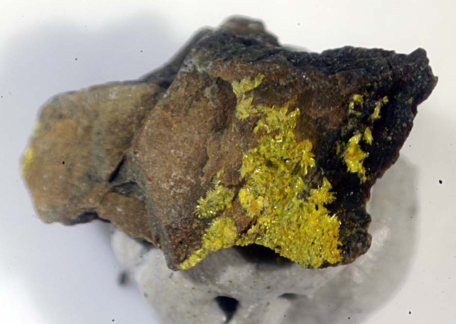 Haynesite