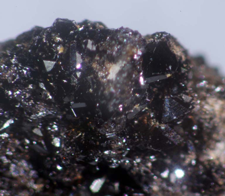 Correianevesite