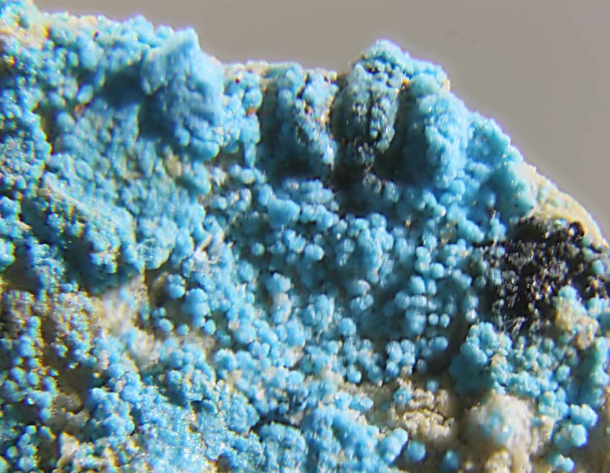Decrespignyite-(Y)