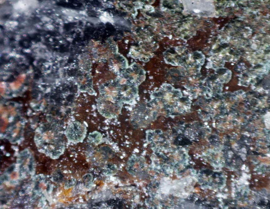 Perhamite & Zinclipscombite