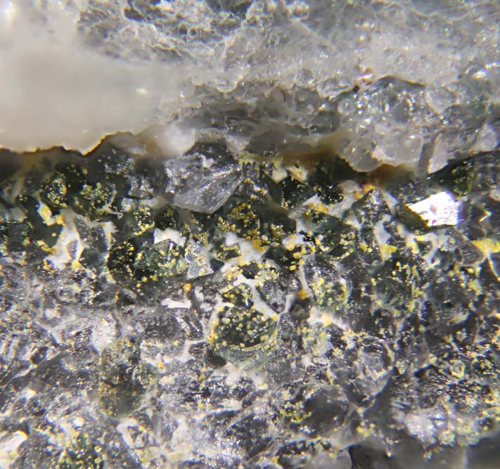 Dellagiustaite