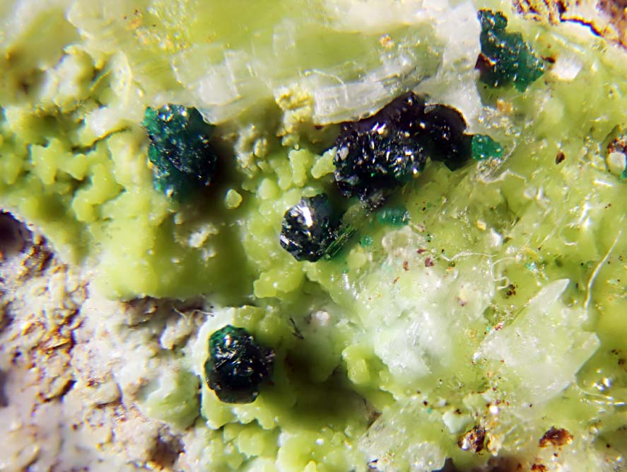 Gillardite & Gaspéite