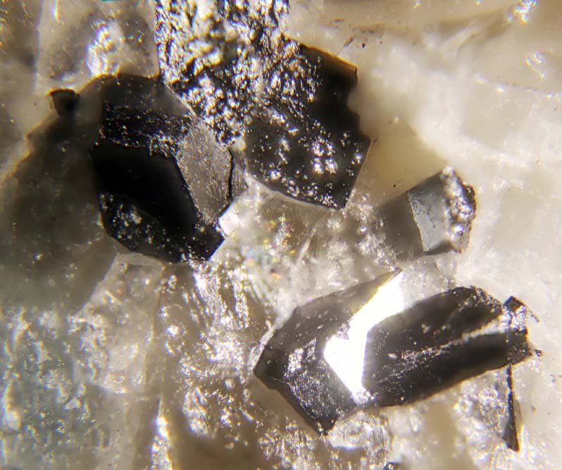 Titanowodginite & Beryl