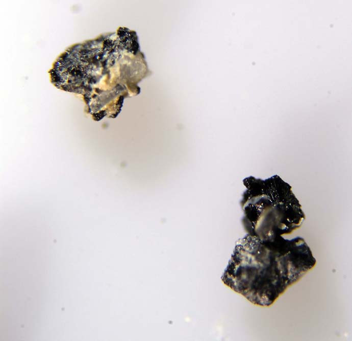 Bismutocolumbite