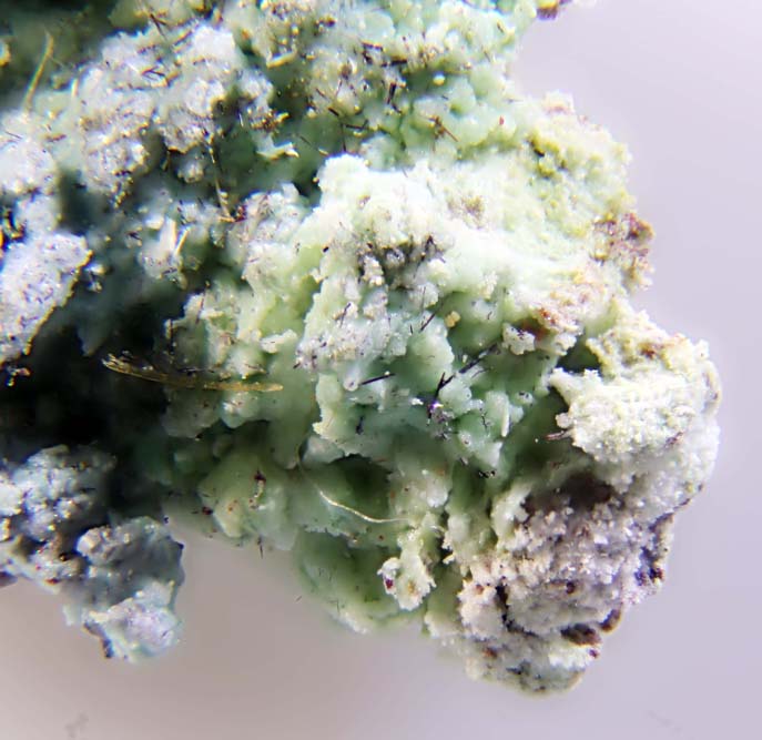 Lammerite