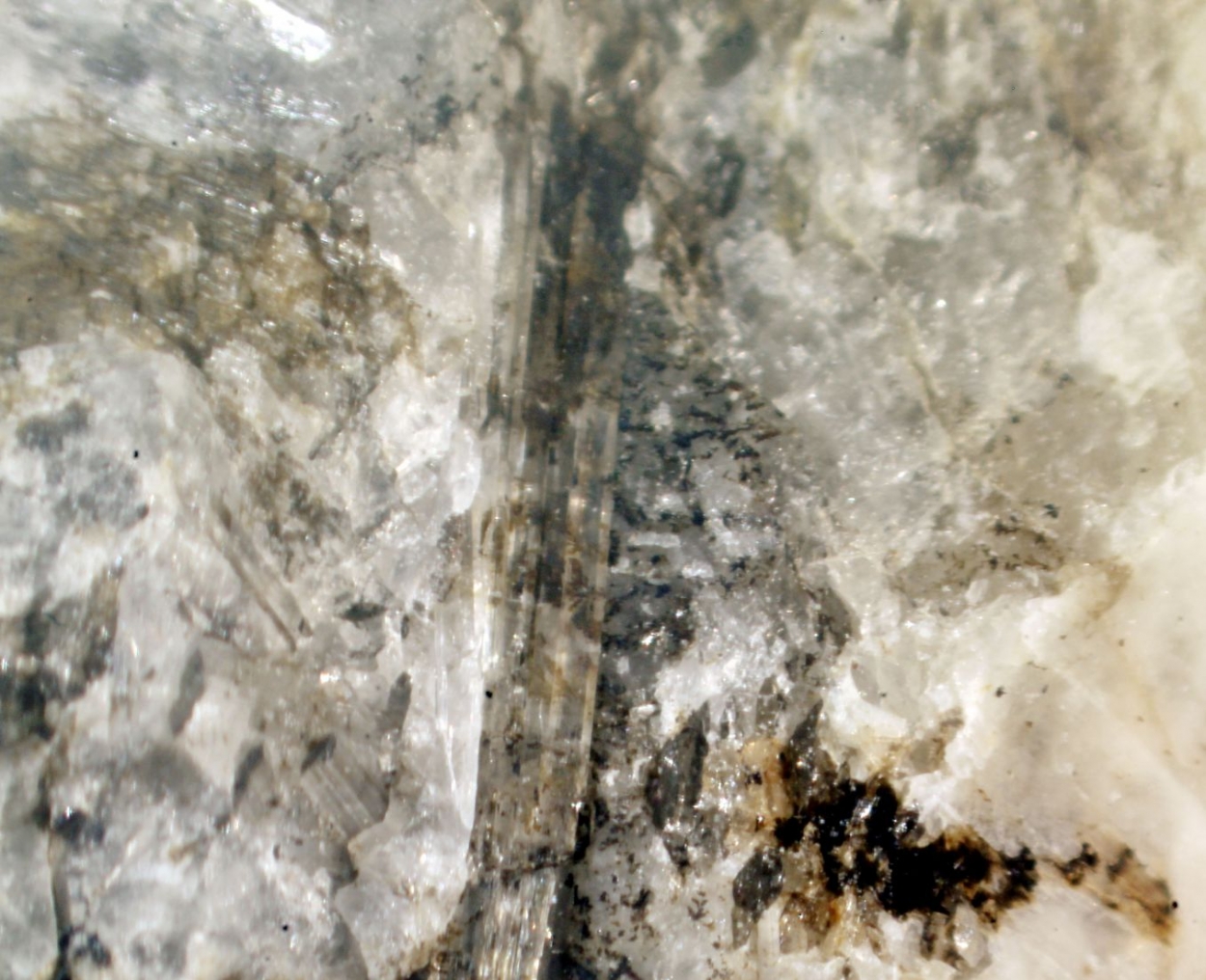 Hambergite