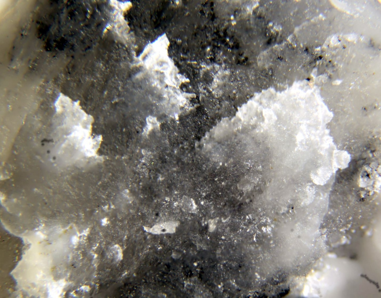 Calciborite