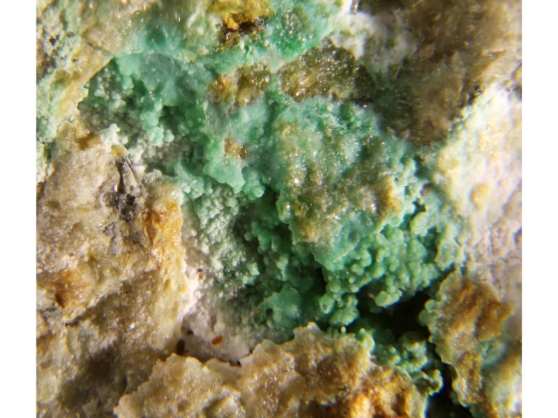 Goudeyite