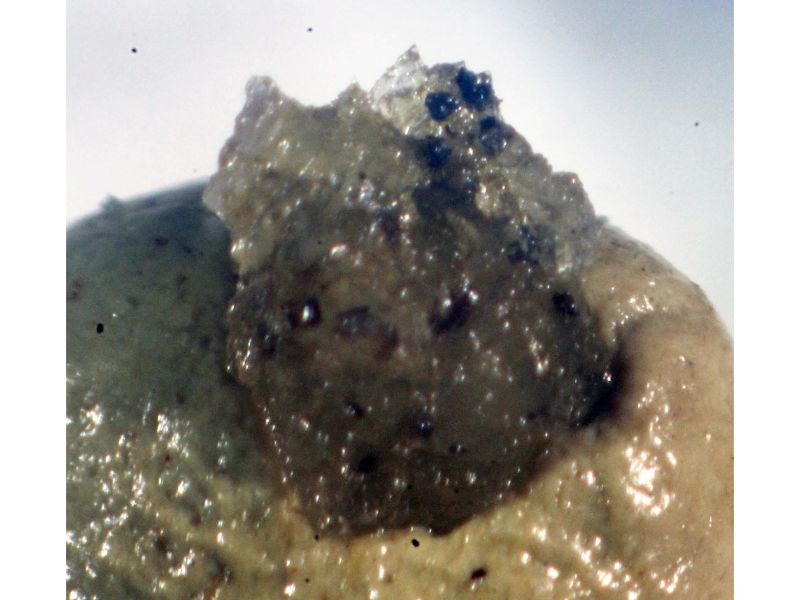 Tephroite