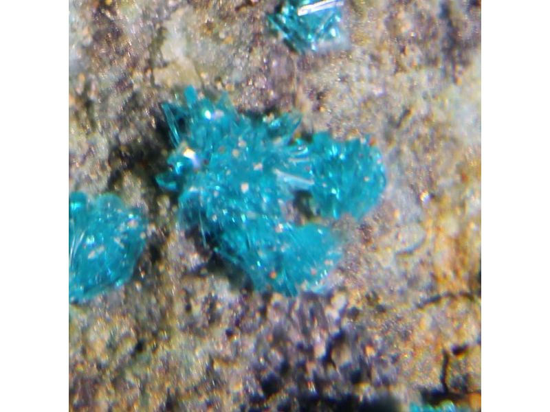 Nissonite