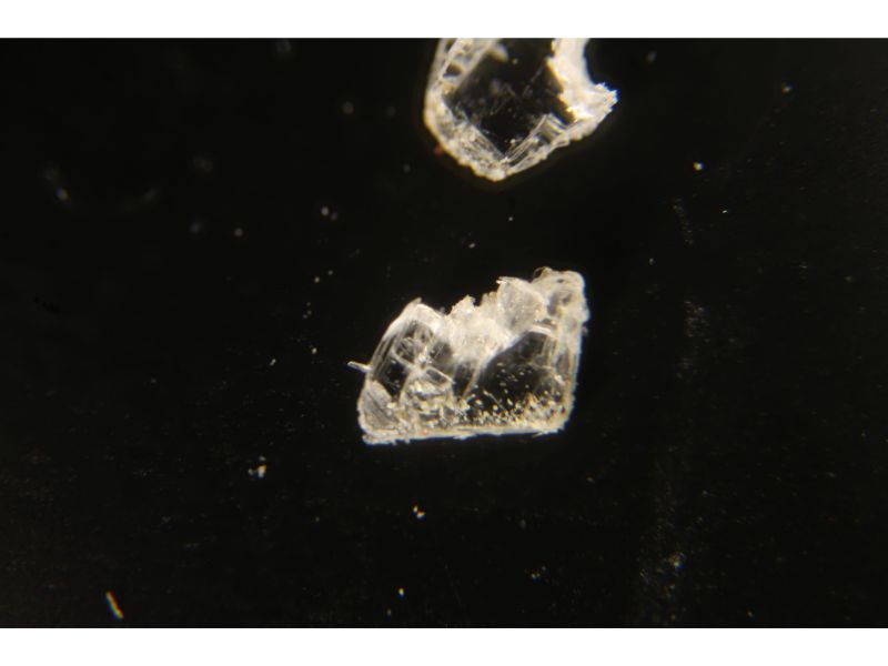 Fahleite In Gypsum