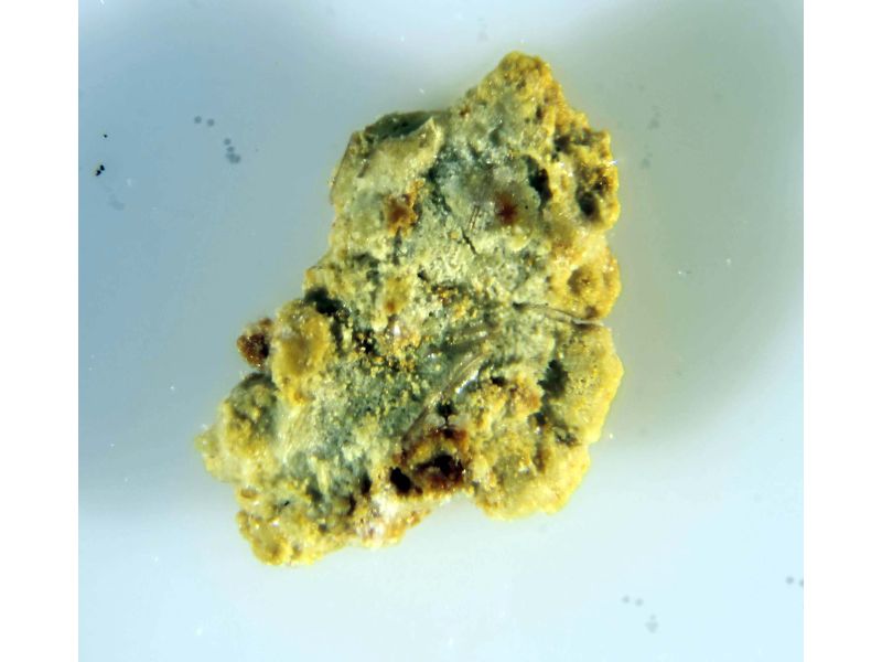 Tugarinovite